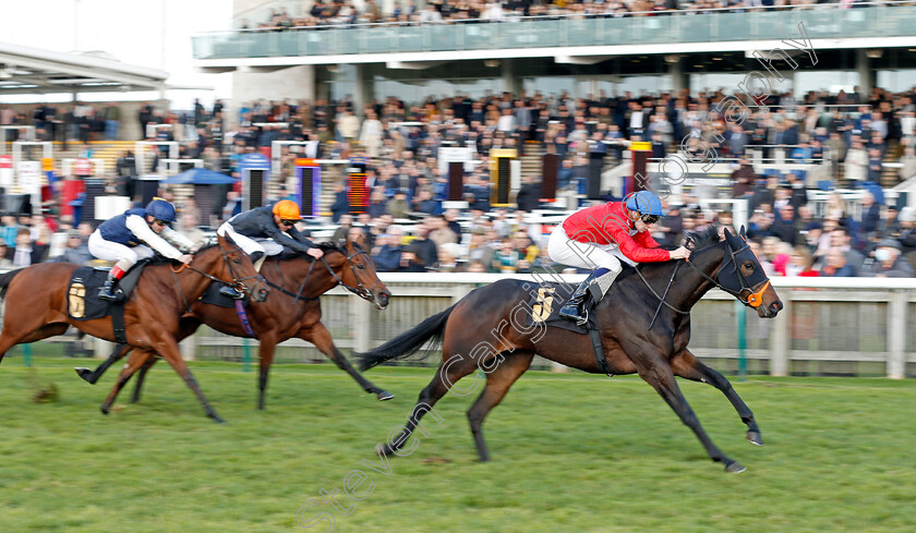 Bermuda-0002 
 BERMUDA (Hector Crouch) wins The Prestige Vehicles British EBF Fillies Novice Stakes Div1
Newmarket 30 Oct 2021 - Pic Steven Cargill / Racingfotos.com