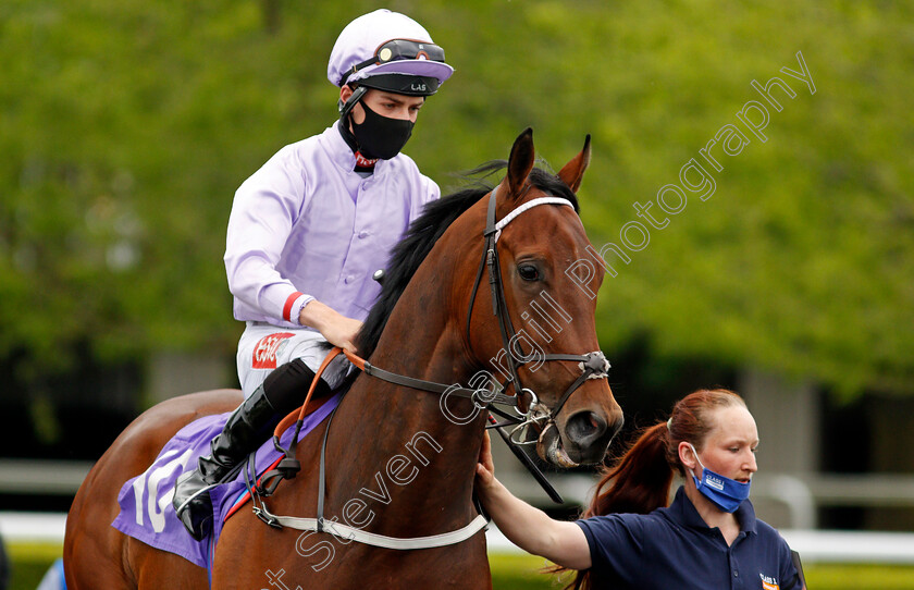 Onenightinmiami-0001 
 ONENIGHTINMIAMI (Tyler Heard)
Kempton 2 Jun 2021 - Pic Steven Cargill / Racingfotos.com