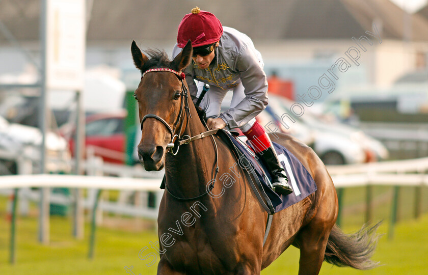 Aljezeera-0002 
 ALJEZEERA (Frankie Dettori) winner of The British Stallion Studs EBF Beckford Stakes Yarmouth 16 Oct 2017 - Pic Steven Cargill / Racingfotos.com