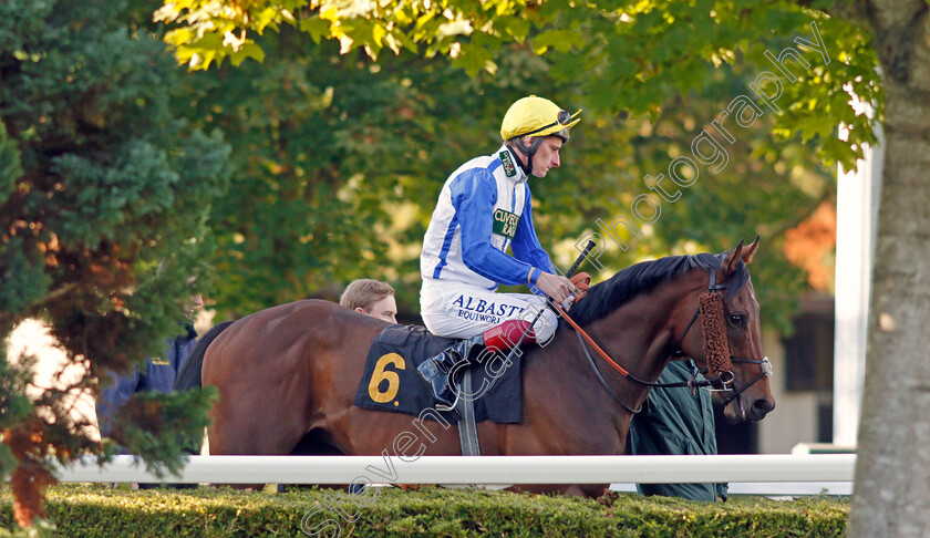 Crackin-Dream-0001 
 CRACKIN DREAM (Adam Kirby) before The Racing TV Profits Returned To Racing Handicap Div1
Kempton 2 Oct 2019 - Pic Steven Cargill / Racingfotos.com