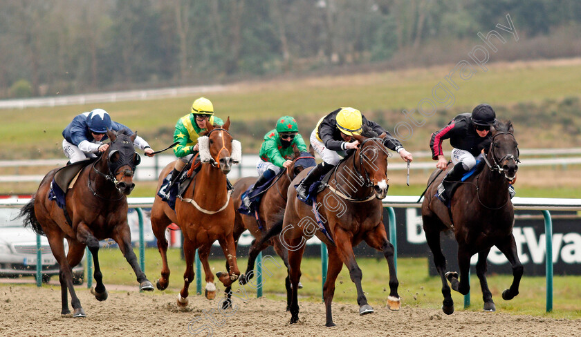 Diligent-Lady-0001 
 DILIGENT LADY (2nd right, Rossa Ryan) beats ONE HART (right) and STRONG POWER (left) in The Betway Handicap
Lingfield 6 Feb 2021 - Pic Steven Cargill / Racingfotos.com