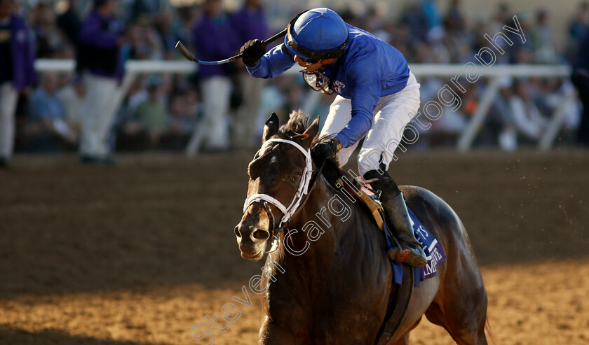 Immersive-0004 
 IMMERSIVE (Manuel Franco) Breeders' Cup Juvenile Fillies
Del Mar USA 1 Nov 2024 - Pic Steven Cargill / Racingfotos.com