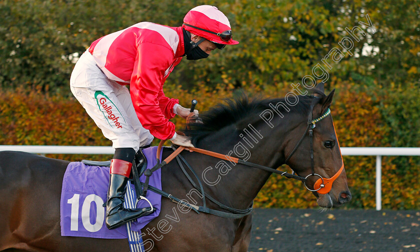 Papas-Dream-0001 
 PAPAS DREAM (Shane Kelly)
Kempton 2 Nov 2020 - Pic Steven Cargill / Racingfotos.com