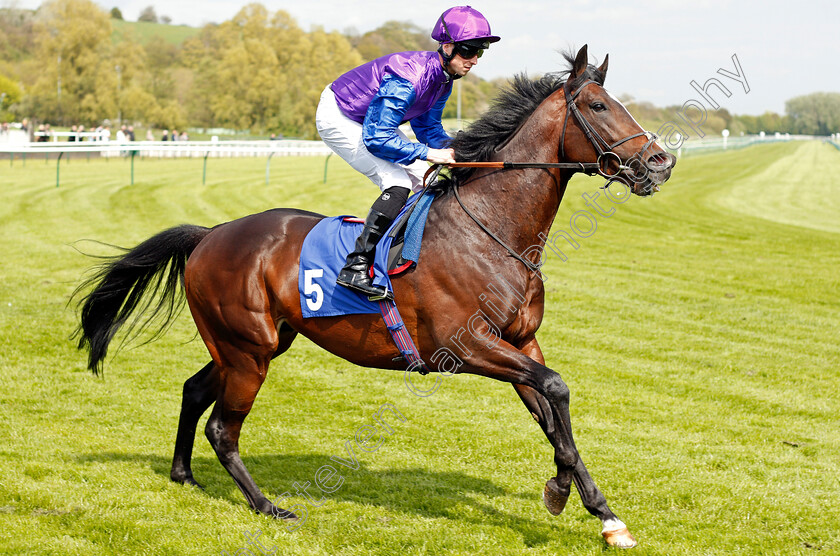 Giovanni-0001 
 GIOVANNI (Jack Mitchell) Nottingham 1 May 2018 - Pic Steven Cargill / Racingfotos.com