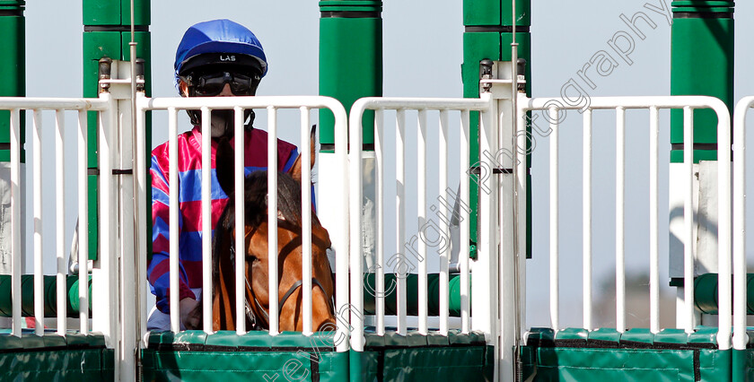 Tynecastle-Park-0008 
 TYNECASTLE PARK (Molly Presland)
Yarmouth 19 May 2021 - Pic Steven Cargill / Racingfotos.com