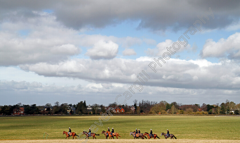 Newmarket-0001 
 A string of racehorses walk back to their stables after exercising on Warren Hill Newmarket 23 Mar 2018 - Pic Steven Cargill / Racingfotos.com