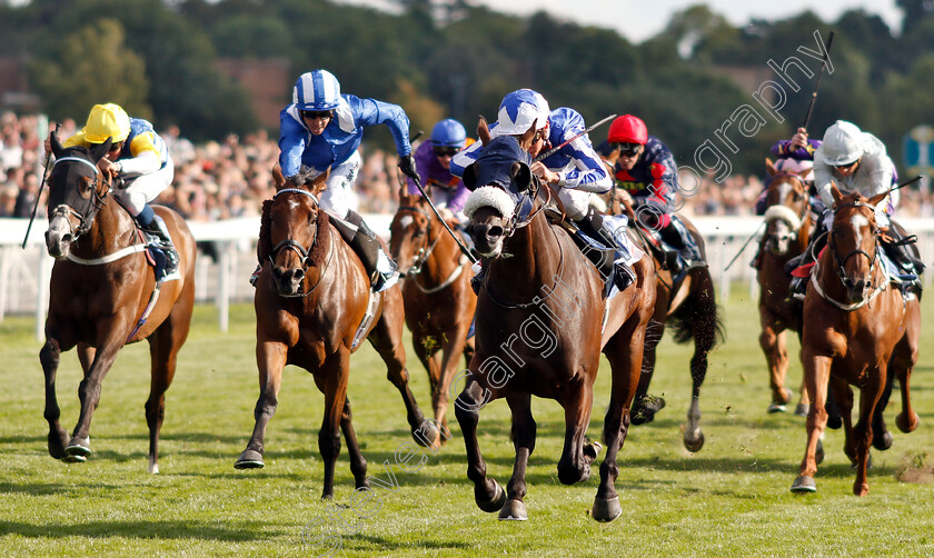 Pivoine-0002 
 PIVOINE (Jason Watson) beats ALFARRIS (2nd left) in The Sky Bet Handicap
York 25 Aug 2018 - Pic Steven Cargill / Racingfotos.com