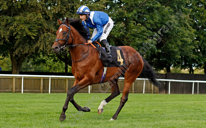 Naqeeb-0002 
 NAQEEB (Richard Kingscote)
Newmarket 28 Jul 2023 - Pic Steven Cargill / Racingfotos.com