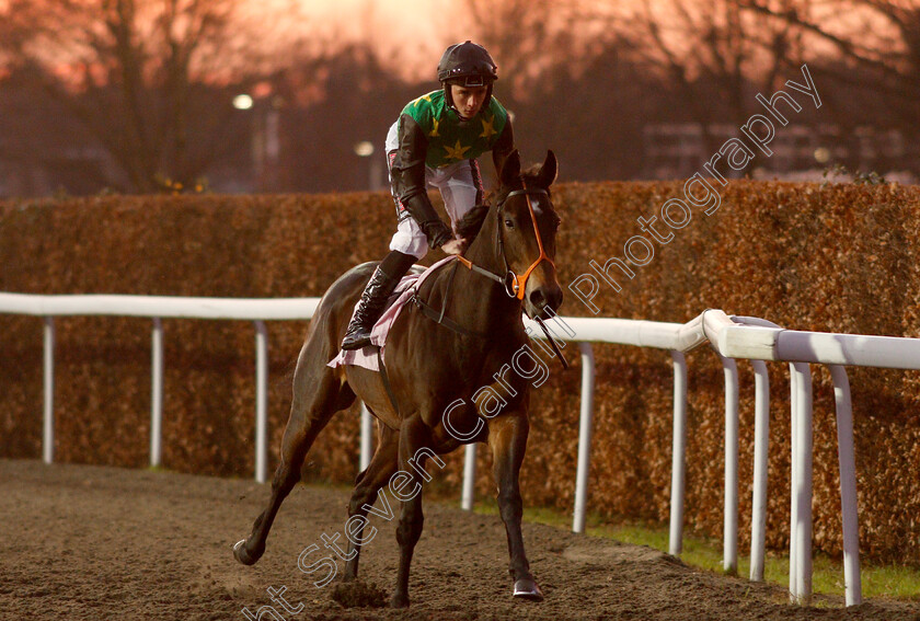 K-Club-0001 
 K CLUB (Rossa Ryan)
Kempton 4 Jan 2019 - Pic Steven Cargill / Racingfotos.com