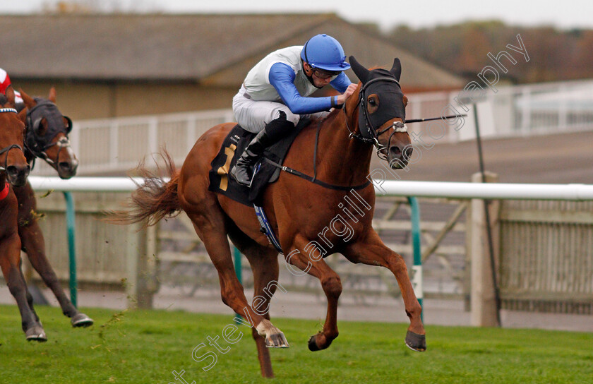 Chance-0006 
 CHANCE (James Doyle) wins The Download The Mansionbet App Handicap
Newmarket 30 Oct 2020 - Pic Steven Cargill / Racingfotos.com