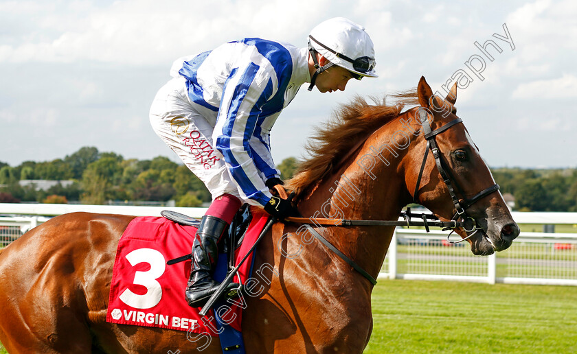 Devil s-Point-0002 
 DEVIL'S POINT (Oisin Murphy)
Sandown 2 Sep 2023 - Pic Steven Cargill / Racingfotos.com