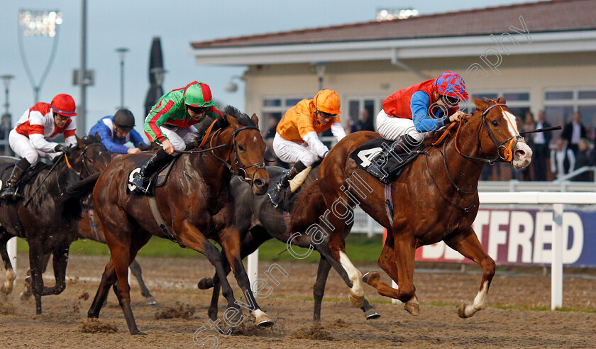 Animal-Instinct-0003 
 ANIMAL INSTINCT (Ryan Tate) beats KARIBANA (left) in The totepool Cashback Club At totesport.com EBF Novice Stakes
Chelmsford 24 Oct 2019 - Pic Steven Cargill / Racingfotos.com