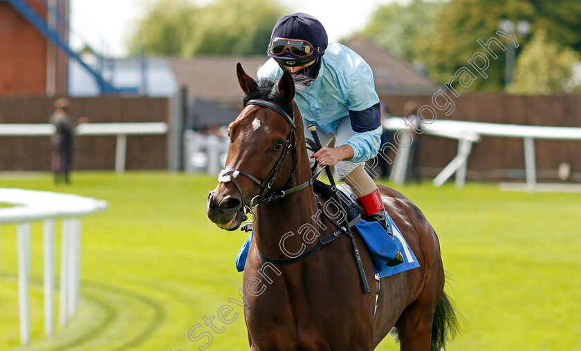 Civilian-0003 
 CIVILIAN (Andrea Atzeni)
Leicester 15 Jul 2021 - Pic Steven Cargill / Racingfotos.com