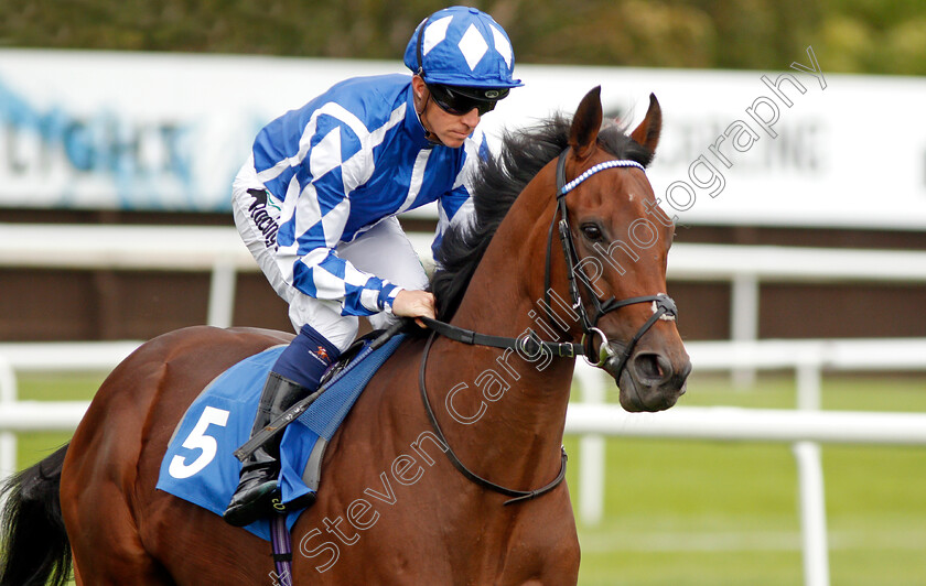 Diyari-0001 
 DIYARI (Jim Crowley)
Leicester 10 Sep 2019 - Pic Steven Cargill / Racingfotos.com