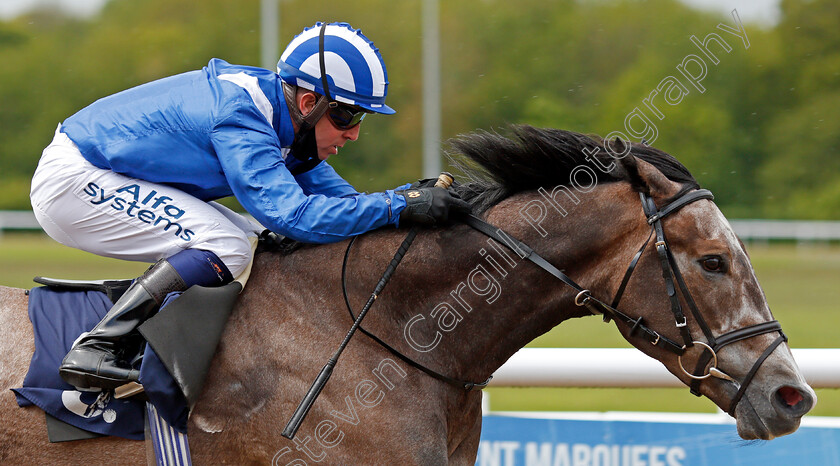 Motawaajed-0008 
 MOTAWAAJED (Jim Crowley) wins The Wolverhampton Holiday Inn Maiden Stakes
Wolverhampton 24 May 2021 - Pic Steven Cargill / Racingfotos.com