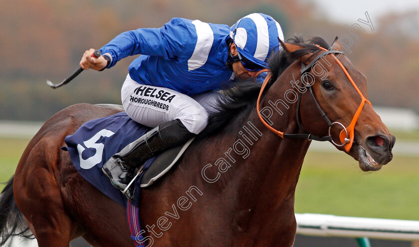 Rajaam-0006 
 RAJAAM (Sean Levey) wins The 32Red.com/EBF Novice Stakes Lingfield 21 Nov 2017 - Pic Steven Cargill / Racingfotos.com