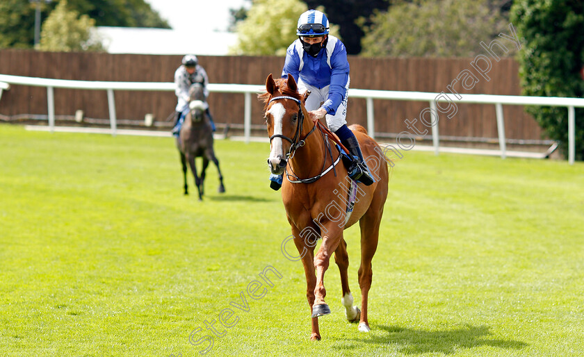 Mahrajaan-0002 
 MAHRAJAAN (Jim Crowley) winner of The British Stallion Studs EBF Novice Stakes Div2
Leicester 15 Jul 2021 - Pic Steven Cargill / Racingfotos.com