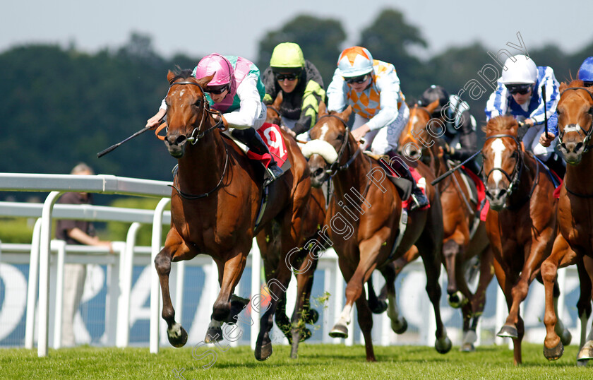 Starlore-0005 
 STARLORE (Ryan Moore) wins The Irish Stallion Farms EBF Novice Stakes
Sandown 7 Jul 2023 - Pic Steven Cargill / Racingfotos.com