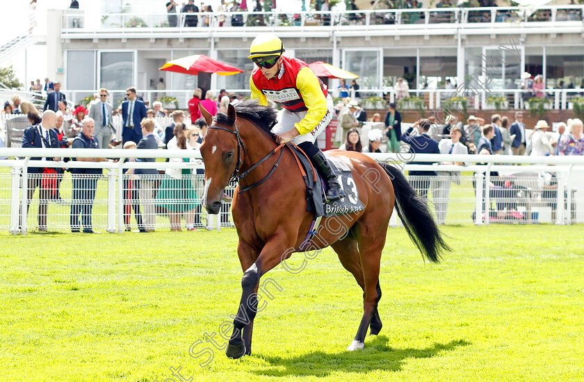 Rockytherockstar-0001 
 ROCKYTHEROCKSTAR (Tom Marquand)
Goodwood 1 Aug 2023 - Pic Steven Cargill / Racingfotos.com