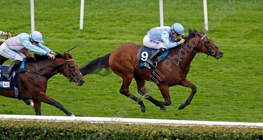 God s-Window-0003 
 GOD'S WINDOW (Kieran Shoemark) wins The British EBF 40th Anniversary Maiden Stakes
Doncaster 16 Sep 2023 - Pic Steven Cargill / Racingfotos.com