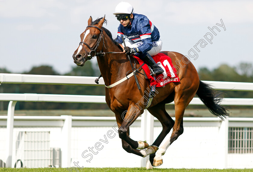 Dual-Identity-0003 
 DUAL IDENTITY (Marco Ghiani) wins The Virgin Bet Handicap
Sandown 2 Sep 2023 - Pic Steven Cargill / Racingfotos.com