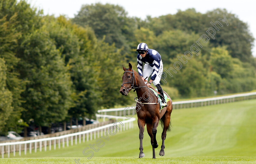 Maw-Lam-0001 
 MAW LAM (James Doyle)
Newmarket 12 Jul 2024 - Pic Steven Cargill / Racingfotos.com