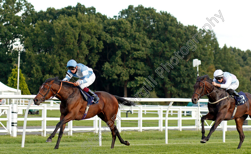 Patient-Dream-0004 
 PATIENT DREAM (Rob Hornby) wins The Betway British Stallion Studs EBF Novice Median Auction Stakes Div2
Lingfield 26 Aug 2020 - Pic Steven Cargill / Racingfotos.com