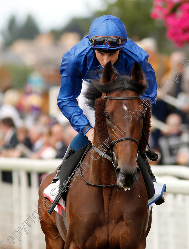 Ghostwatch-0001 
 GHOSTWATCH (William Buick) winner of The Sjy Bet Melrose Stakes
York 25 Aug 2018 - Pic Steven Cargill / Racingfotos.com