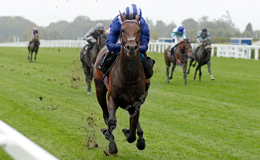 Hukum-0005 
 HUKUM (Jim Crowley) wins The ABF/BGC Cumberland Lodge Stakes
Ascot 2 Oct 2021 - Pic Steven Cargill / Racingfotos.com