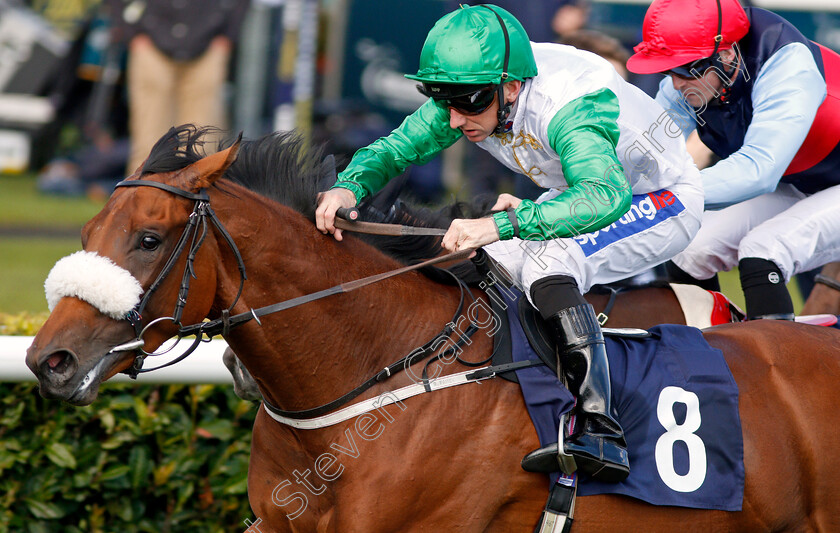 Bravo-Faisal-0005 
 BRAVO FAISAL (Paul Hanagan) wins The Pepsi Max Nursery
Doncaster 11 Sep 2019 - Pic Steven Cargill / Racingfotos.com