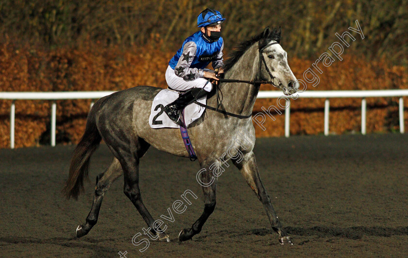 Good-Reason-0001 
 GOOD REASON (Callum Shepherd)
Kempton 3 Feb 2021 - Pic Steven Cargill / Racingfotos.com