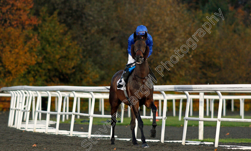 Loxley-0003 
 LOXLEY (William Buick) before winning The Unibet 3 Uniboosts A Day Floodlit Stakes
Kempton 2 Nov 2020 - Pic Steven Cargill / Racingfotos.com