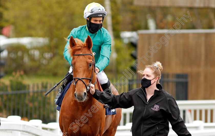 Scope-0001 
 SCOPE (Sean Levey)
Lingfield 8 May 2021 - Pic Steven Cargill / Racingfotos.com