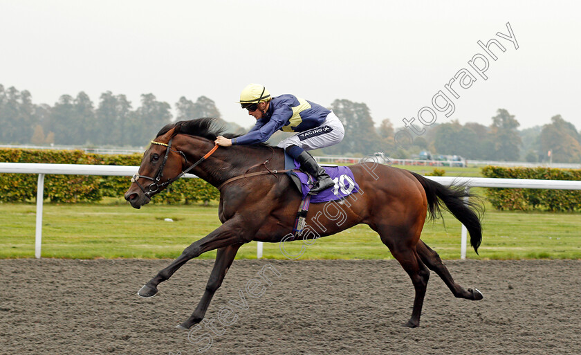 Ply-0002 
 PLY (Harry Bentley) wins The Winners Are Welcome At Matchbook Handicap Kempton 25 Sep 2017 - Pic Steven Cargill / Racingfotos.com