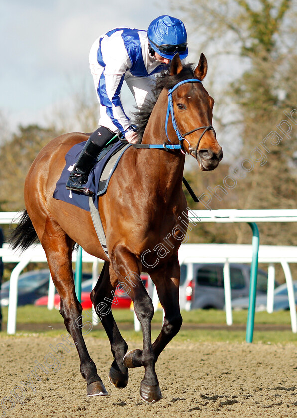 Dembe-0002 
 DEMBE (Rossa Ryan) winner of The Mansionbet Beaten By A Head Handicap
Lingfield 9 Mar 2022 - Pic Steven Cargill / Racingfotos.com