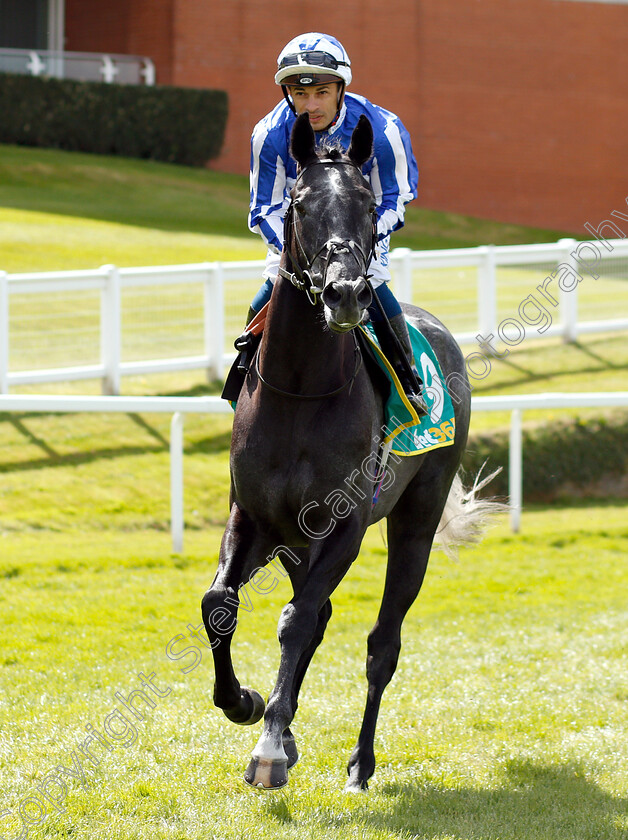 Fox-Leicester-0001 
 FOX LEICESTER (Silvestre De Sousa) 
Sandown 26 Apr 2019 - Pic Steven Cargill / Racingfotos.com