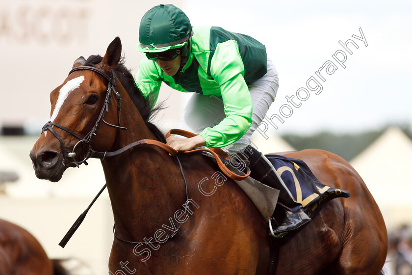 Settle-For-Bay-0006 
 SETTLE FOR BAY (Billy Lee) wins The Royal Hunt Cup
Royal Ascot 20 Jun 2018 - Pic Steven Cargill / Racingfotos.com