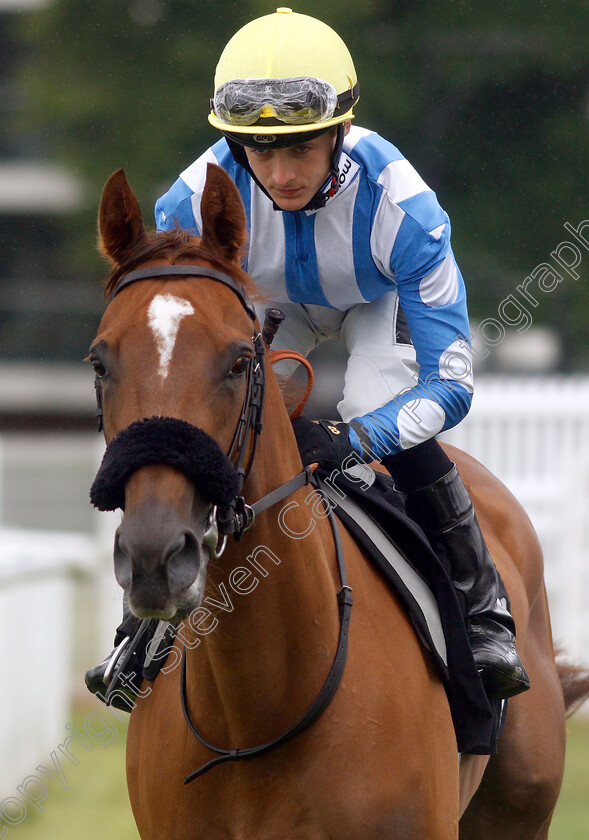 Narak-0014 
 NARAK (Harry Bentley)
Newbury 13 Jun 2019 - Pic Steven Cargill / Racingfotos.com