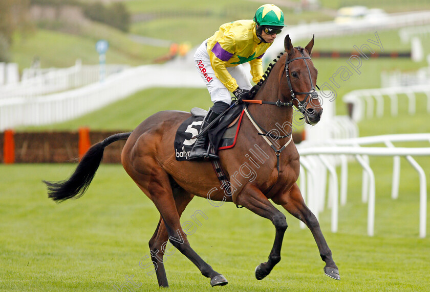 Champagne-Well-0001 
 CHAMPAGNE WELL (Paddy Brennan) winner of The Ballymore Novices Hurdle
Cheltenham 25 Oct 2019 - Pic Steven Cargill / Racingfotos.com