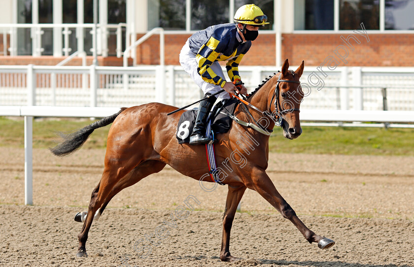 Sir-Ten-T-0001 
 SIR TEN T (Joseph Lyons)
Chelmsford 20 Sep 2020 - Pic Steven Cargill / Racingfotos.com