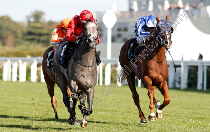 Silver-Quartz-0003 
 SILVER QUARTZ (left, James Doyle) beats ZWAYYAN (right) in The Weatherbys Handicap
Ascot 7 Sep 2018 - Pic Steven Cargill / Racingfotos.com