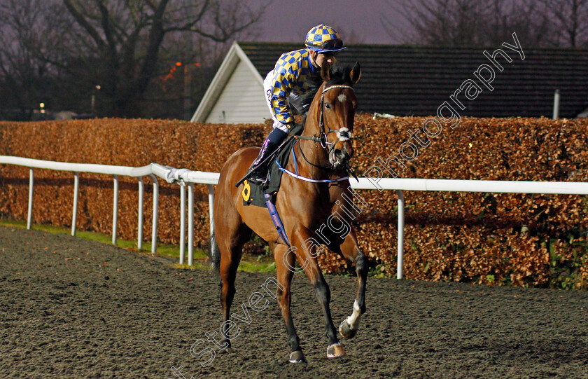 Bayards-Cove-0001 
 BAYARDS COVE (Hollie Doyle) Kempton 20 Dec 2017 - Pic Steven Cargill / Racingfotos.com