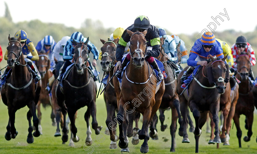 Magical-Zoe-0005 
 MAGICAL ZOE (W J Lee) wins Sky Bet Ebor Handicap
York 24 Aug 2024 - Pic Steven Cargill / Racingfotos.com