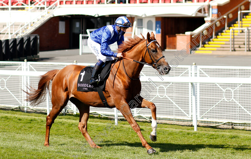 Alfaadhel-0001 
 ALFAADHEL (Jim Crowley) winner of The Boodles Maiden Stakes
Chester 5 May 2021 - Pic Steven Cargill / Racingfotos.com