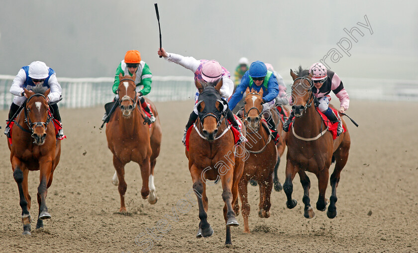 Constantino-0003 
 CONSTANTINO (centre, Paul Hanagan) beats HUMBERT (left) and SEA FOX (right) in The Play For Free At sunbets.co.uk/vegas Handicap Lingfield 3 Mar 2018 - Pic Steven Cargill / Racingfotos.com