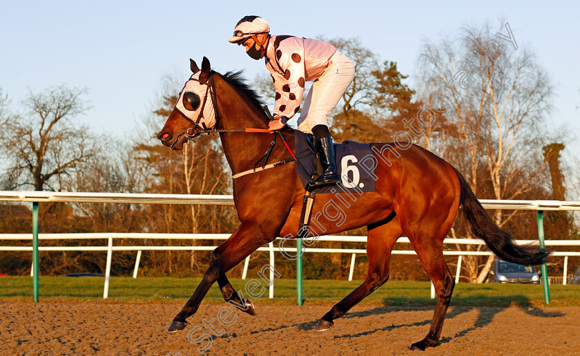 Hotalena-0001 
 HOTALENA (Pierre-Louis Jamin) winner of The Ladbrokes Watch Racing Online For Free Handicap
Lingfield 26 Feb 2021 - Pic Steven Cargill / Racingfotos.com