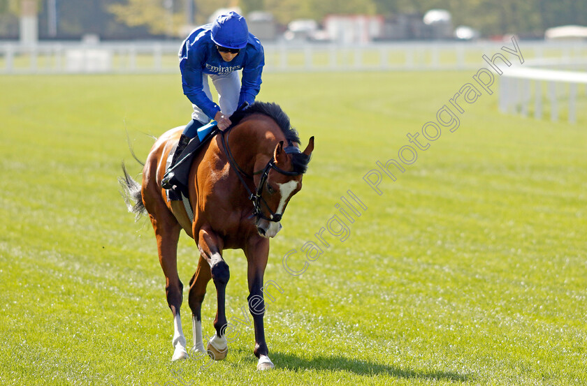 Mischief-Magic-0001 
 MISCHIEF MAGIC (William Buick)
Ascot 3 May 2023 - Pic Steven Cargill / Racingfotos.com