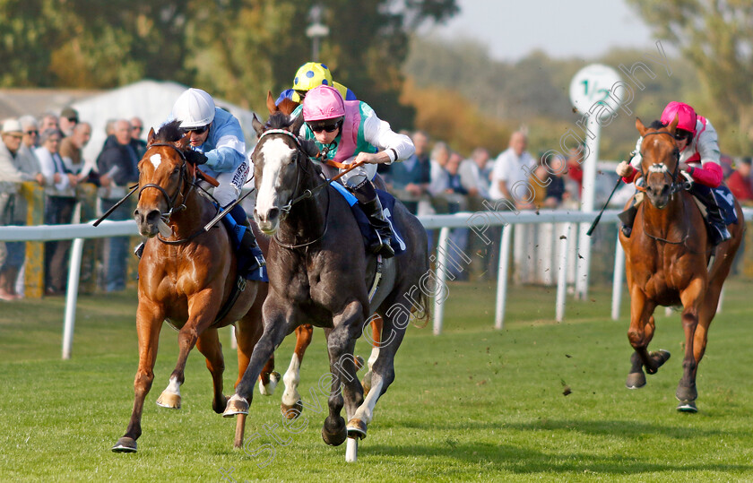 Nightwalker-0004 
 NIGHTWALKER (Ryan Moore) beats ULTRASOUL (left) in The EBF Future Stayers Maiden Stakes
Yarmouth 18 Sep 2024 - Pic Steven Cargill / Racingfotos.com