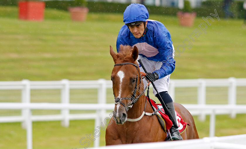 Mehmasself-And-I-0001 
 MEHMASSELF AND I (Pierre-Louis Jamin)
Sandown 25 Jul 2024 - Pic Steven Cargill / Racingfotos.com