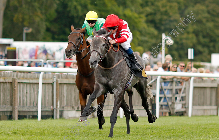 Ashky-0005 
 ASHKY (William Buick) wins The Turners Handicap
Newmarket 30 Jul 2022 - Pic Steven Cargill / Racingfotos.com